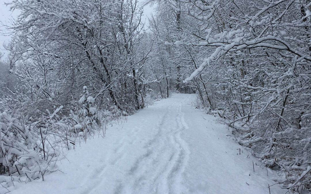 Trails update 12-16-2022: North Branch Trails temporarily closed to riding