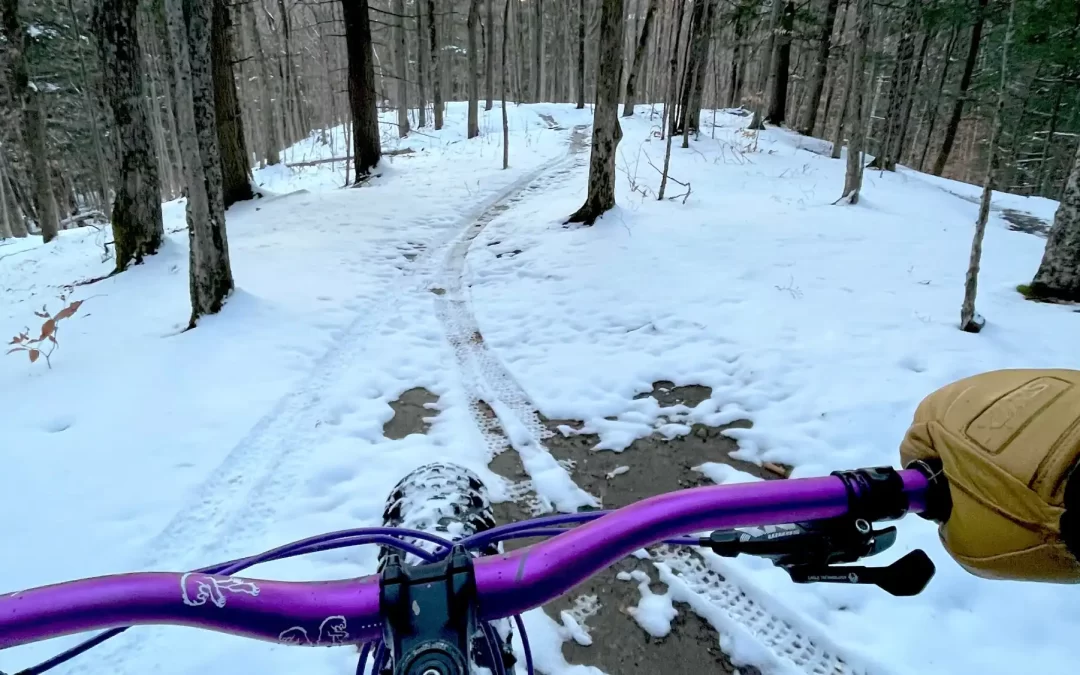 2025 End of Year Report