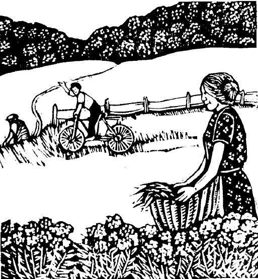 Ed Epstein landowner woodcut